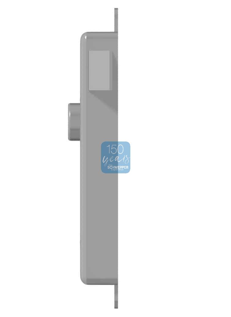 Rim latch lock with mounting flaps Brass | GSV-No. 3227 F