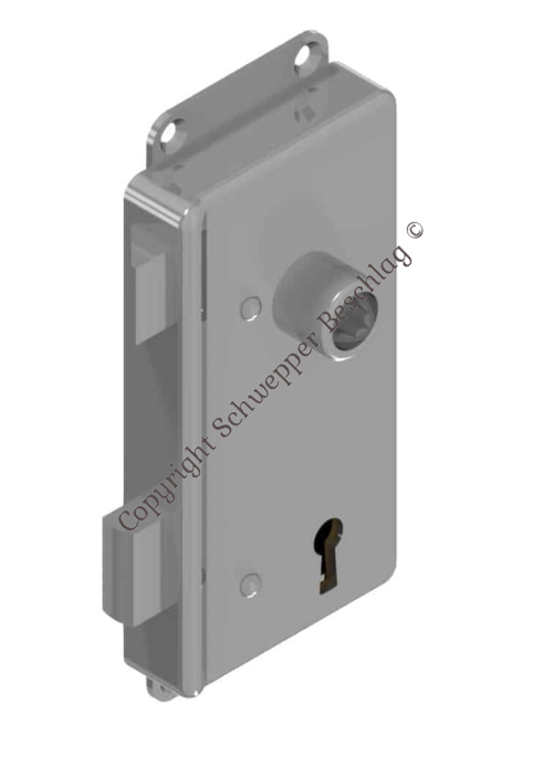 Rim lock with mounting flaps for skeleton key Brass | GSV-No. 3227