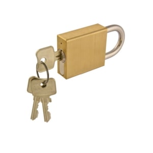 Heavy duty padlock with profile cylinder Brass 5880