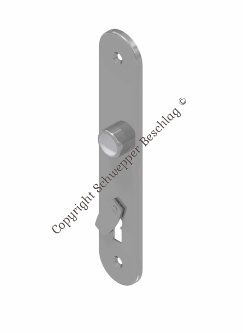 Long plate with key hole and cover Brass distcancing 75mm for rim locks / mortises with skeleton key | GSV-Nr 3343 A